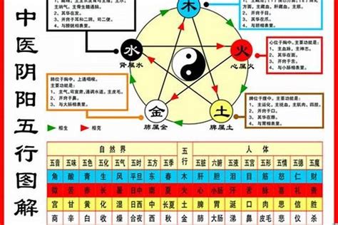 1960 鼠 五行|属鼠五行属什么命 属鼠人的五行缺什么